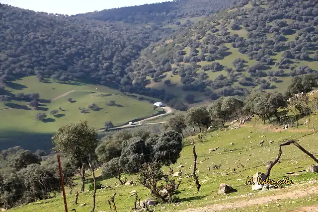 016, fuente de la parrilla, marca