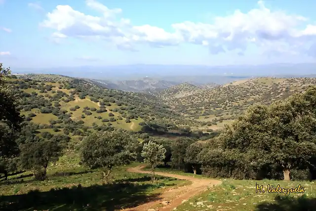 021, cruce de caminos, marca