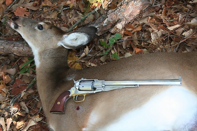 pietta-with-60-lb-doe-taken-with-round-ball-load