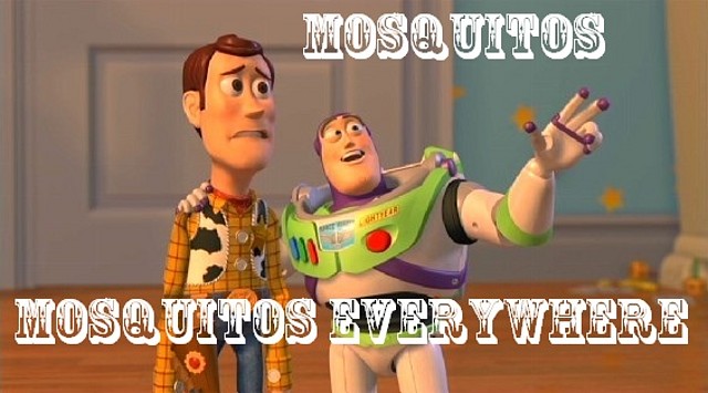 Mosquitos Everywehere