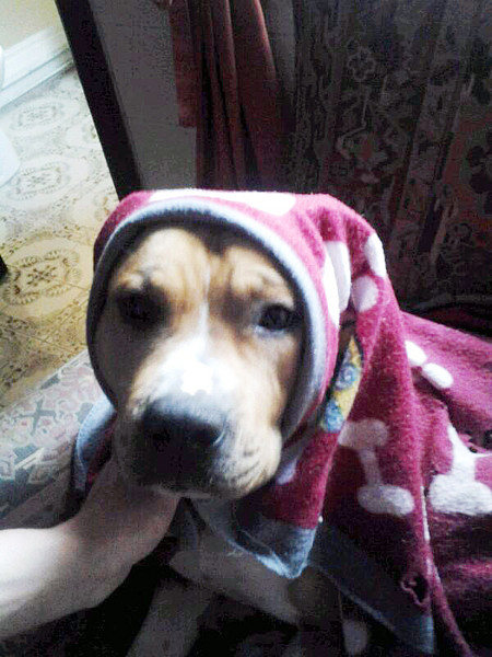 tayson