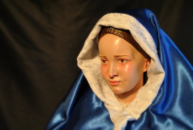 DSC_3216 DSC_3216
