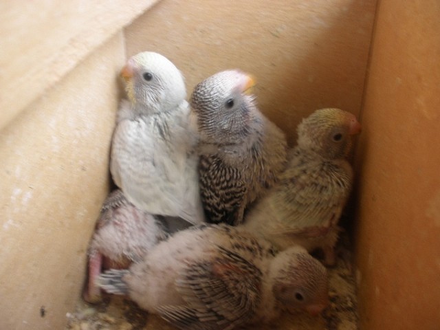 todos 21-11-11 todos 21-11-11