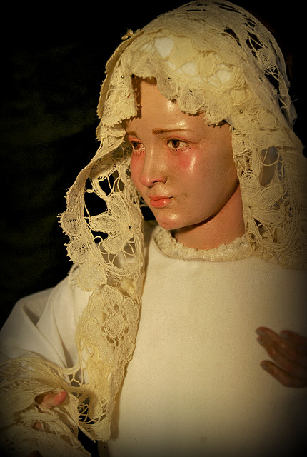 DSC_3221 DSC_3221