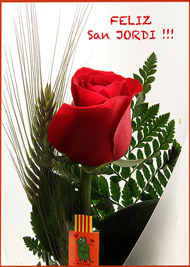 sant jordi