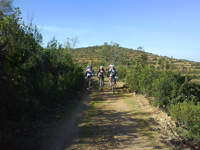 pista pista