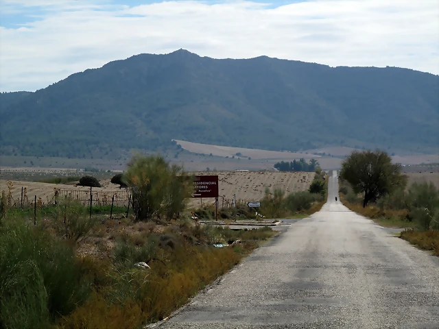 A18 A18