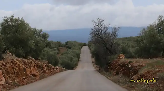 01, carrera de los caballos, marca