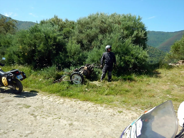 DSCN4831'5 DSCN4831'5