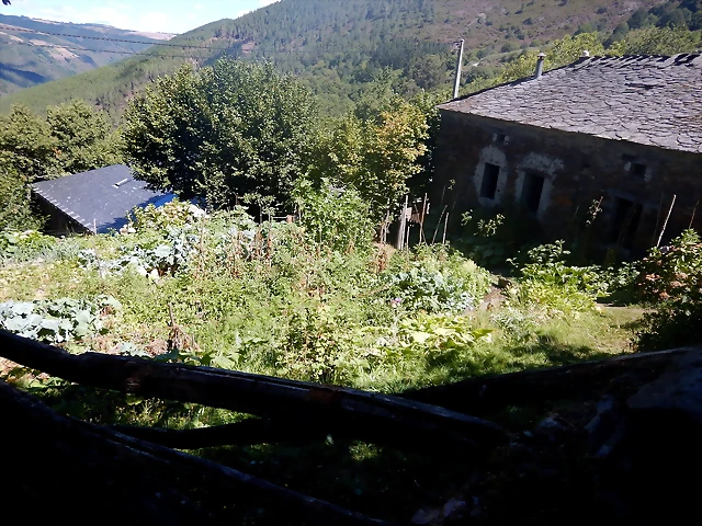 DSCN4563 DSCN4563