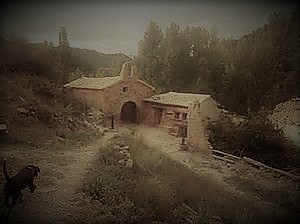 th[8]