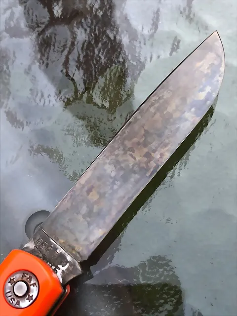 pati1 pati1