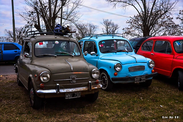 DSC_0177 DSC_0177
