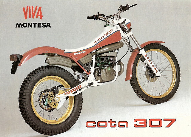 Cota 307