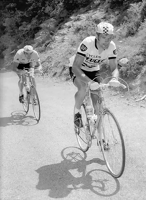 Tour-Merckx-Thevenet2
