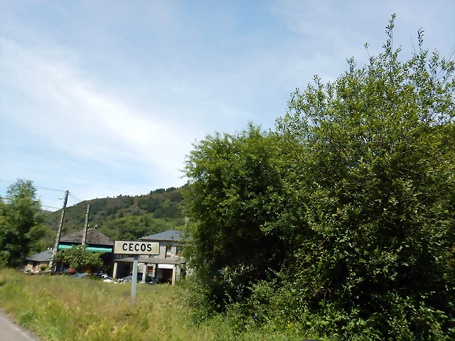 DSCN1175 DSCN1175