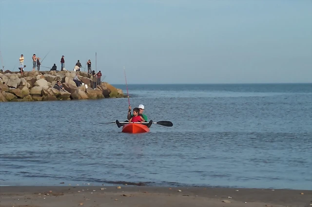 Mayo Mar del Plata 010