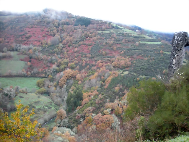 DSCN1055 DSCN1055