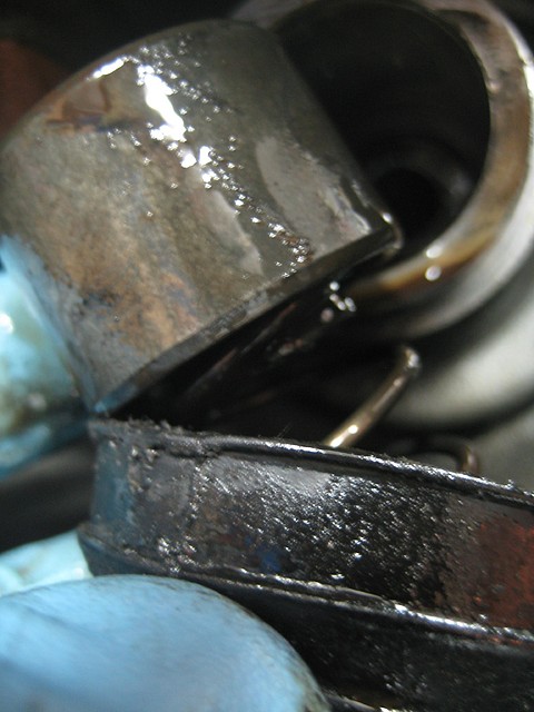 IMG_1645 IMG_1645