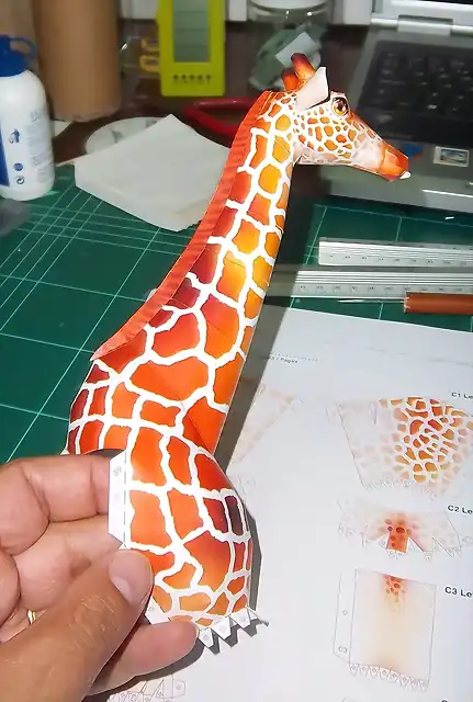 Girafa (11)