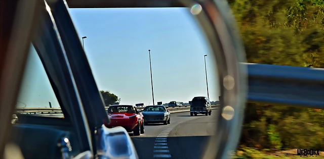 DSC_0314 DSC_0314