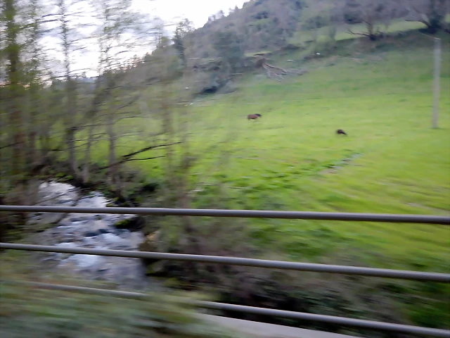 DSCN9654 DSCN9654
