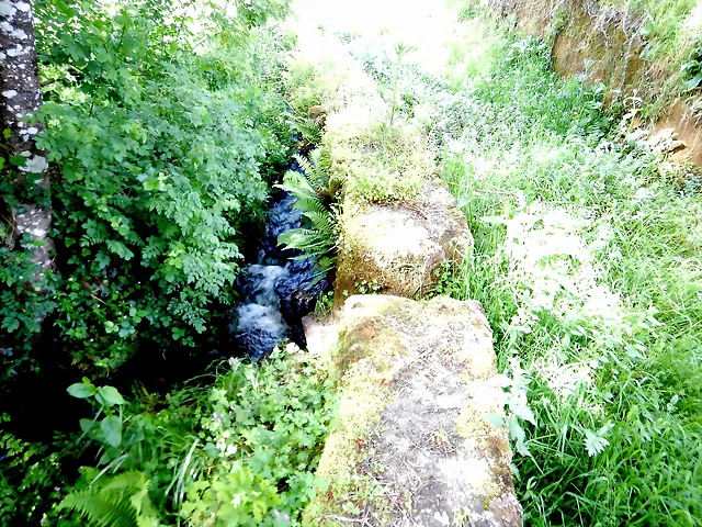 DSCN2449 DSCN2449