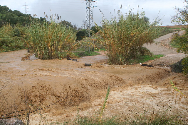 Paso o puente