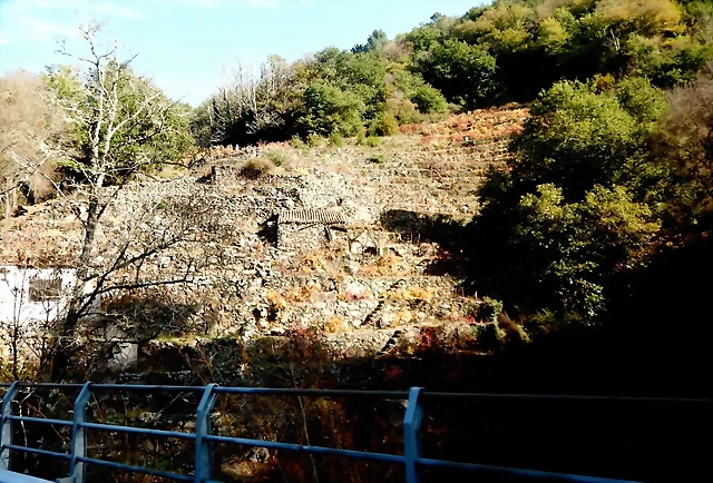 DSCN1582 DSCN1582