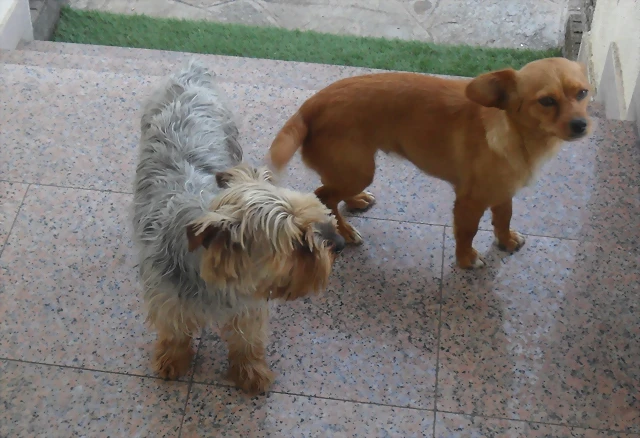 SAM_0580 SAM_0580