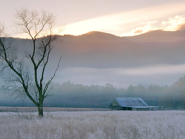 Fields of Frost, Grundy County, Tennessee Fields of Frost, Grundy County, Tennessee