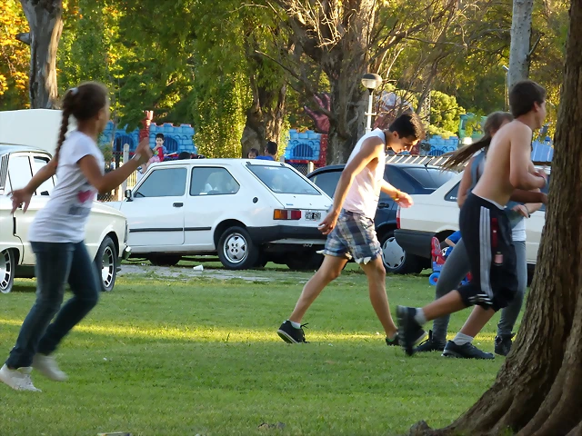 P1050831 P1050831