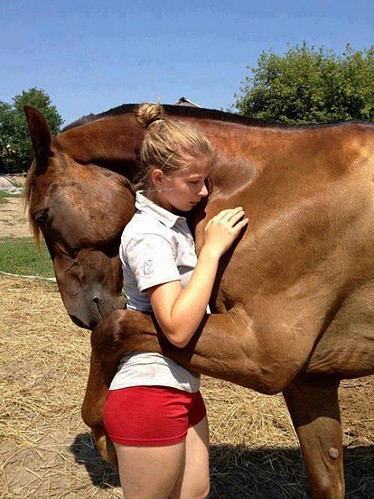 Amor de caballo