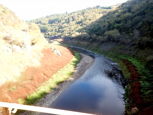 DSCN1448 DSCN1448