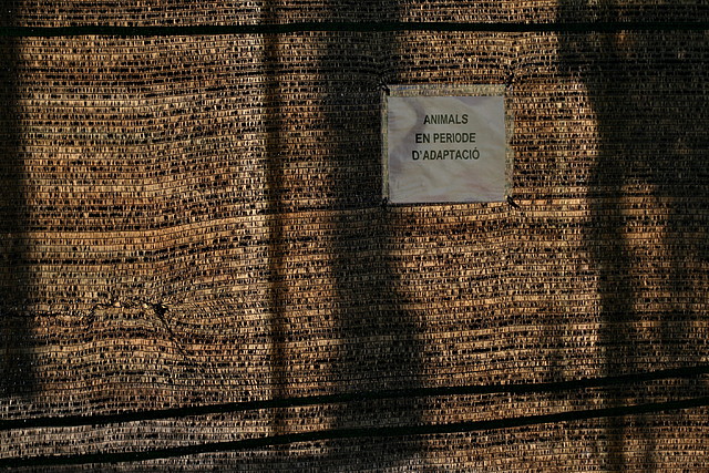Zoo de Barcelona 01-03-11 240 Zoo de Barcelona 01-03-11 240