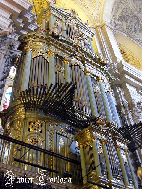 Catedral (13)