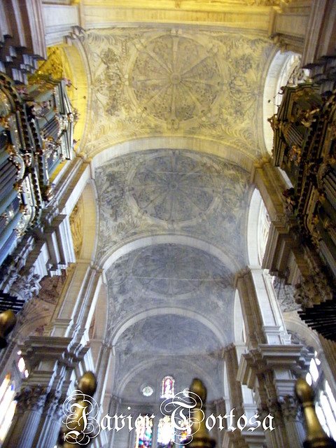 Catedral (14)