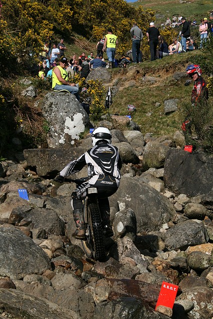 IMG_7403 IMG_7403