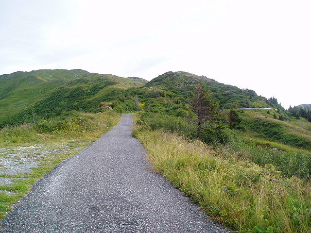 Monte Crostis (1)