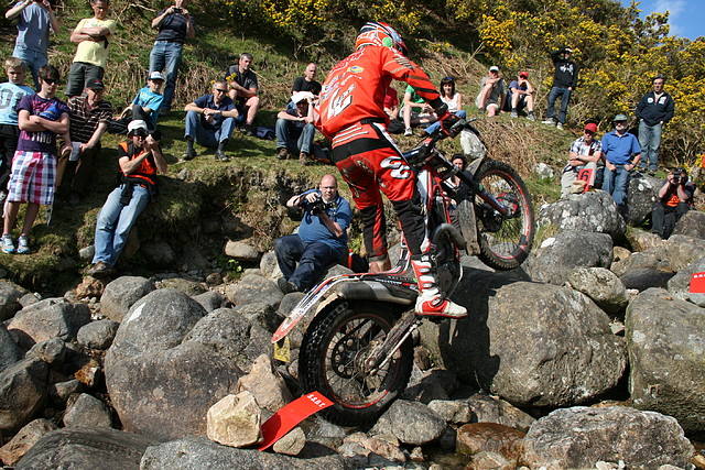 IMG_7381 IMG_7381