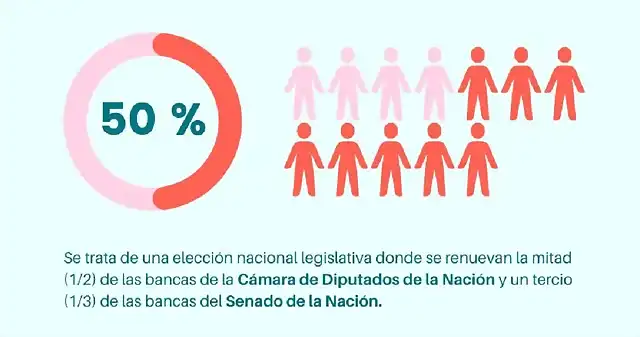 Infografia-Elecciones-Arg_1-e1616890962599