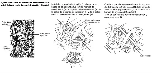 Suzuki Grand Vitara 1.9 DDiS Ajuste Correa Distribucion