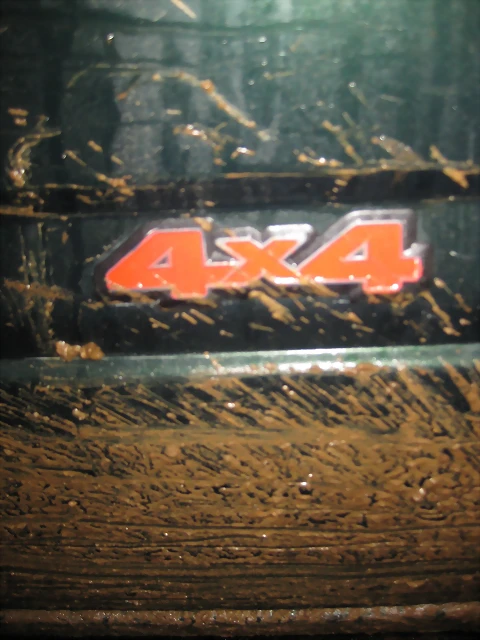 IMG_4481 IMG_4481