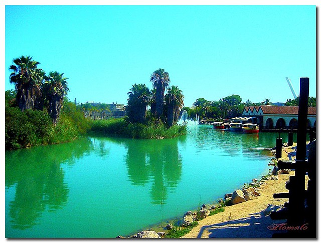 124-AFVA - REFLEJOS EN EL LAGO- flomalo