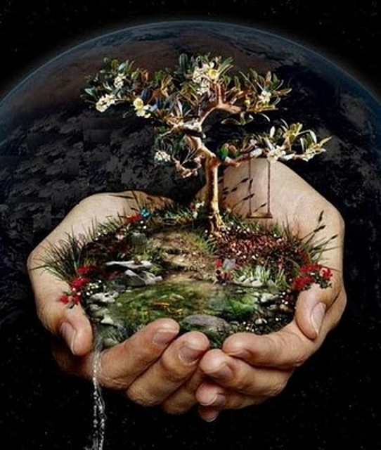 ecologia+medio ambiente+planeta tierra