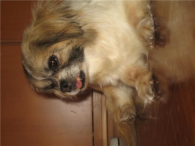 matilda1 matilda1