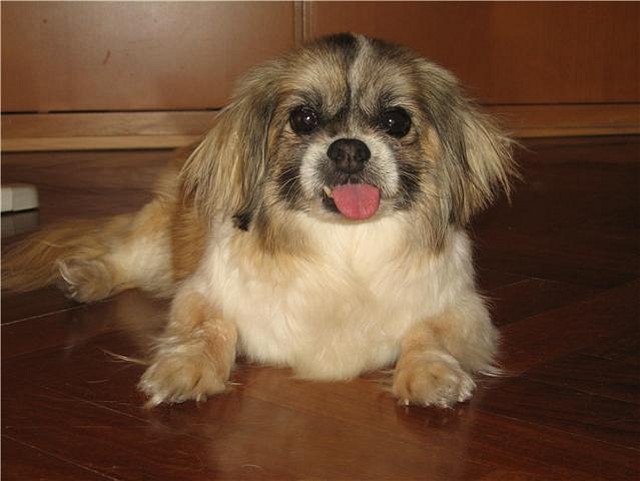 matilda2 matilda2