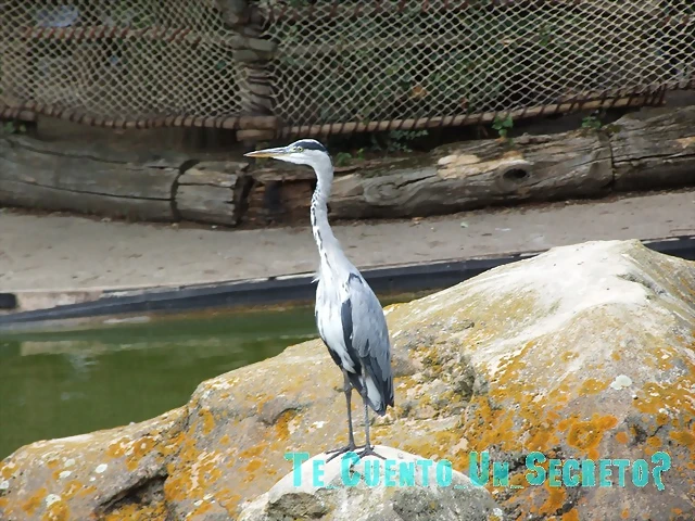 DSCF8604