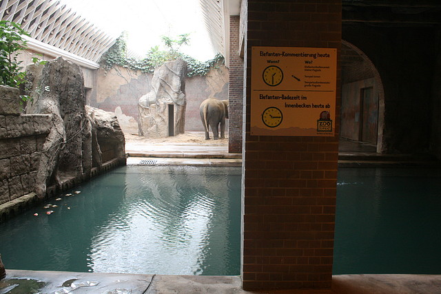 Zoo Leipzig 20-06-11 248 Zoo Leipzig 20-06-11 248