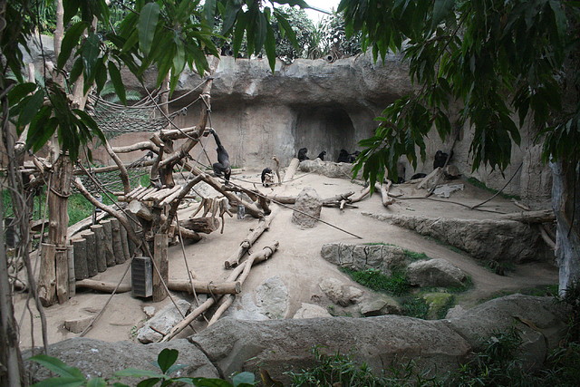 Zoo Leipzig 20-06-11 284 Zoo Leipzig 20-06-11 284